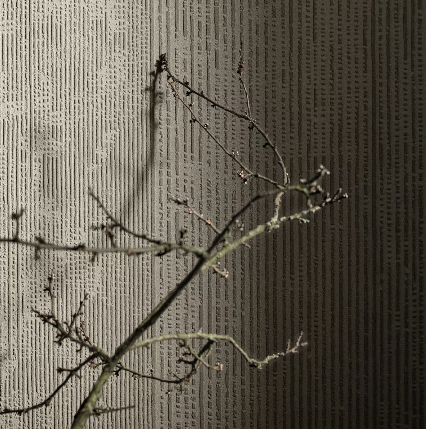 Home - bluff interior&colour design